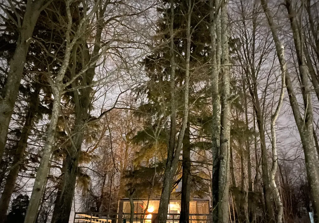 Коттедж Домик Хирви уютный коттедж на отдельном участке с вековыми деревьями — Москва