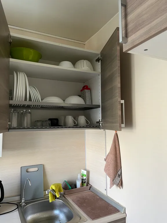 Грин Дрим (Green dream), уютная, душевная квартира в центре города