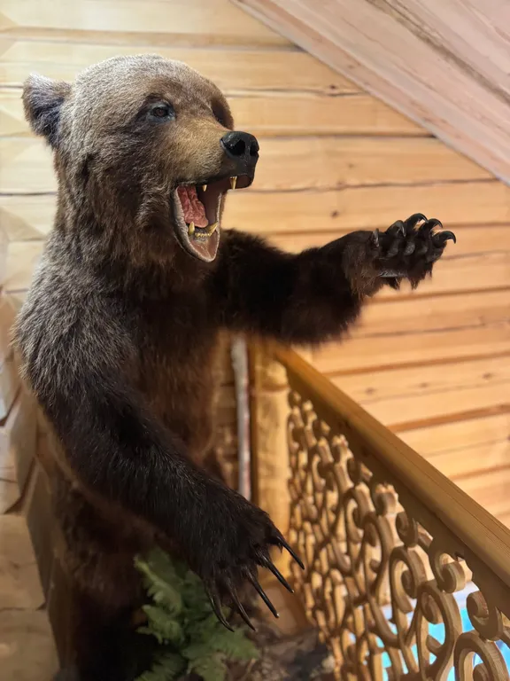 Усадьба Ладога-Лункулансаари