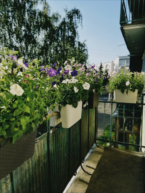 Грин Дрим (Green dream), уютная, душевная квартира в центре города