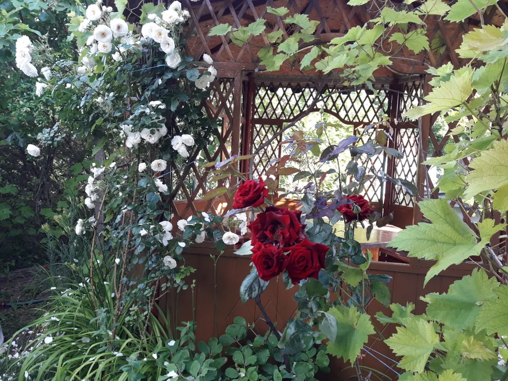 Дом из бруса с беседкой