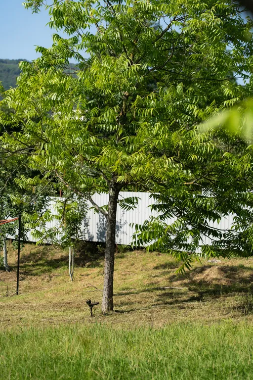 Коттедж 1-комнатный Дом — Сухум