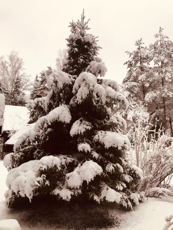 Изба (дом) из экологически чистого бревна под камышовой крышей в лесу