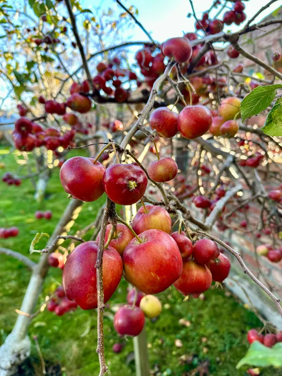 Дом-усадьба с видом на море с баней и беседкой