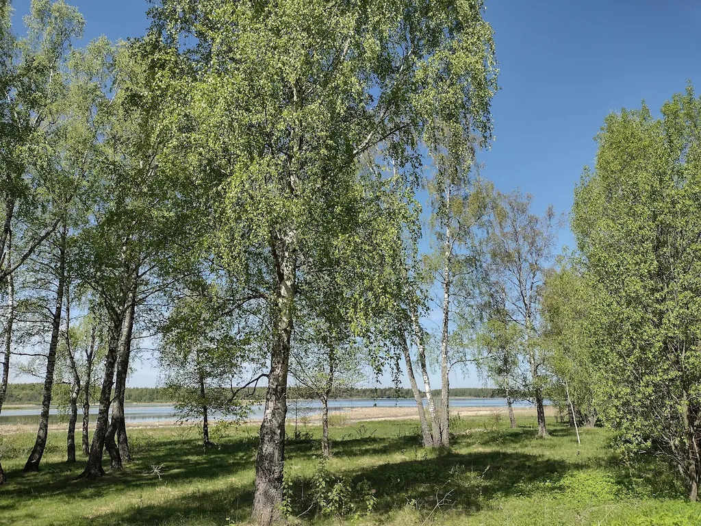 Уютный дом с баней и бильярдом вблизи наукограда Дубна