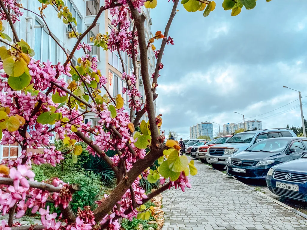 Квартира Квартира Апартамент у моря Dali — Севастополь