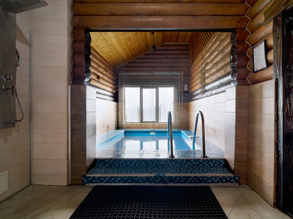 Гуси Лебеди