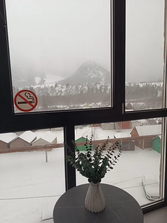 Квартира с лоджией и прекрасным видом