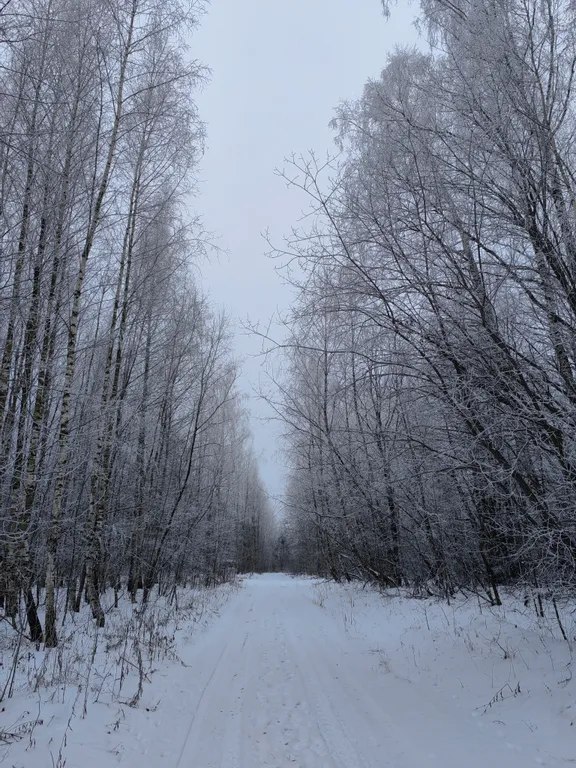 Домик в лесу