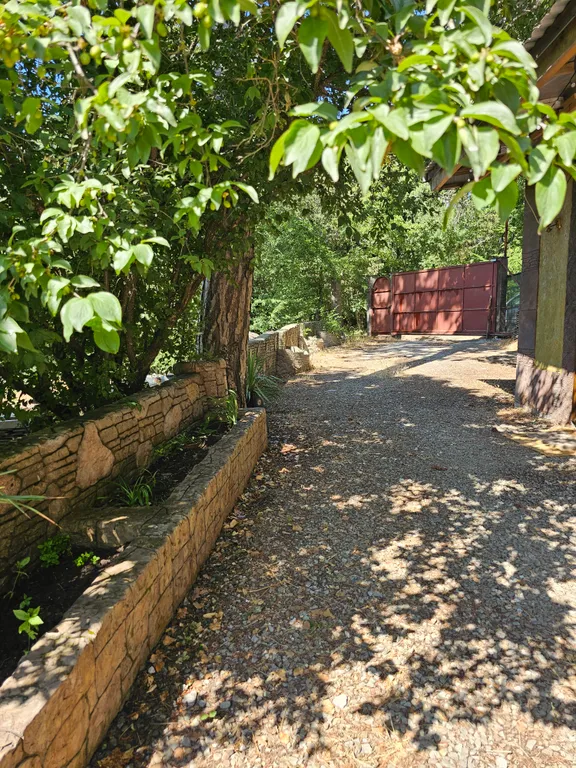 Дом в лесу с каминным деревом внутри