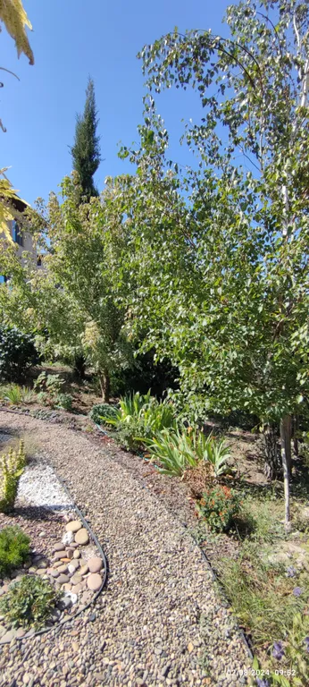 Квартира Комната — Анапа