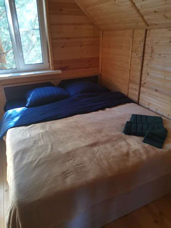 Dream Forest & River PZ