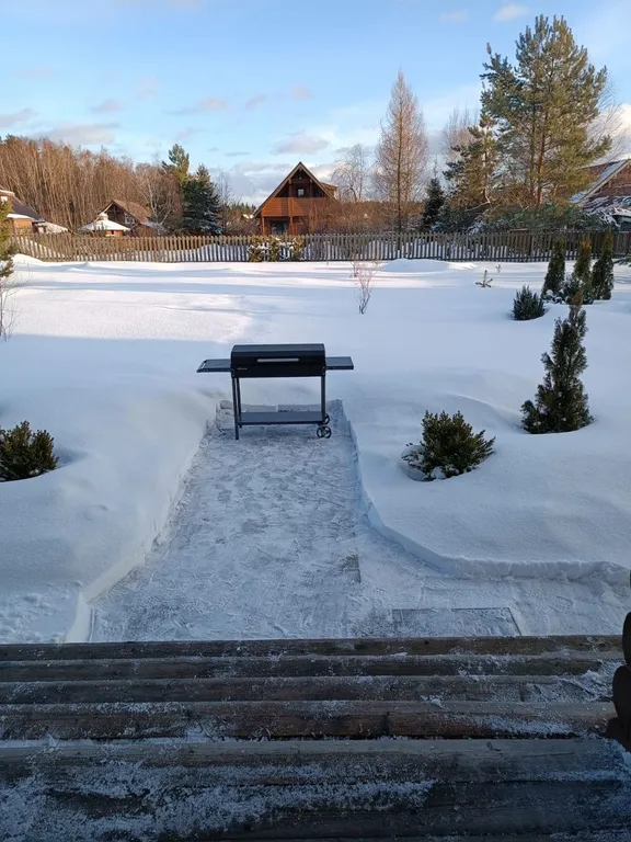 Боровики Хаус дом с камином