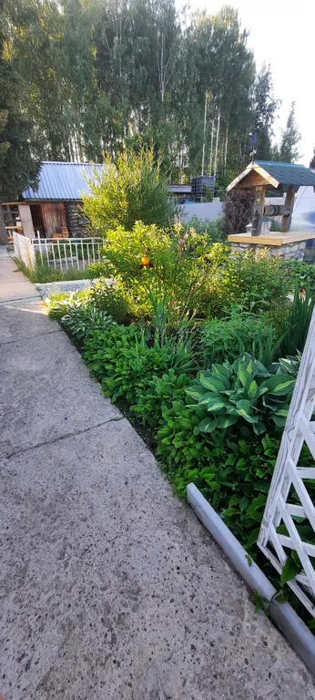 Уютный загородный дом с прудом