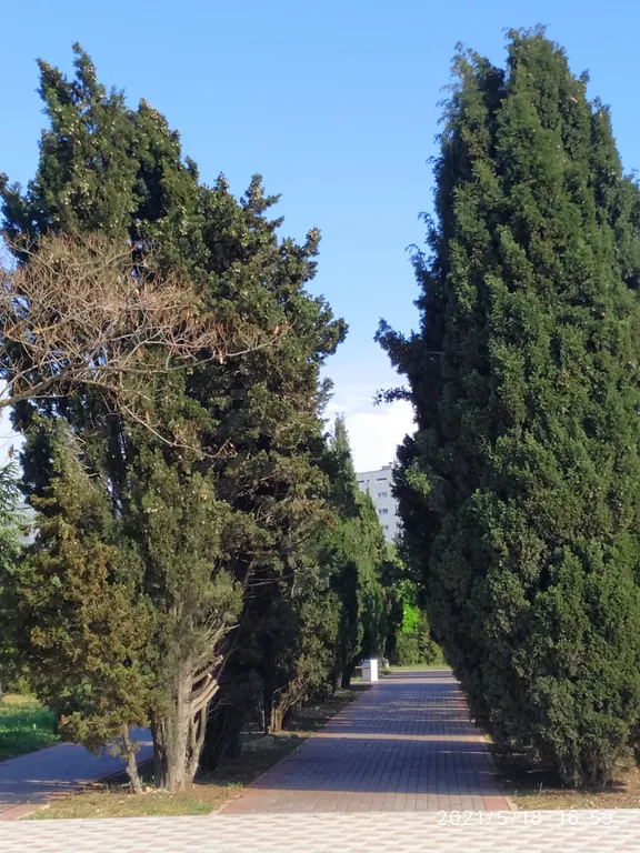 Уютная студия у моря в парке Победы