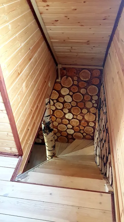 Дом Лесной с баней и купелью базы «Онегинхутор»»