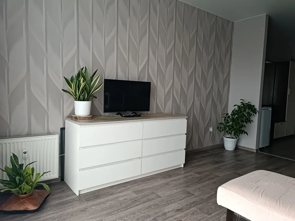 Студия Алые паруса