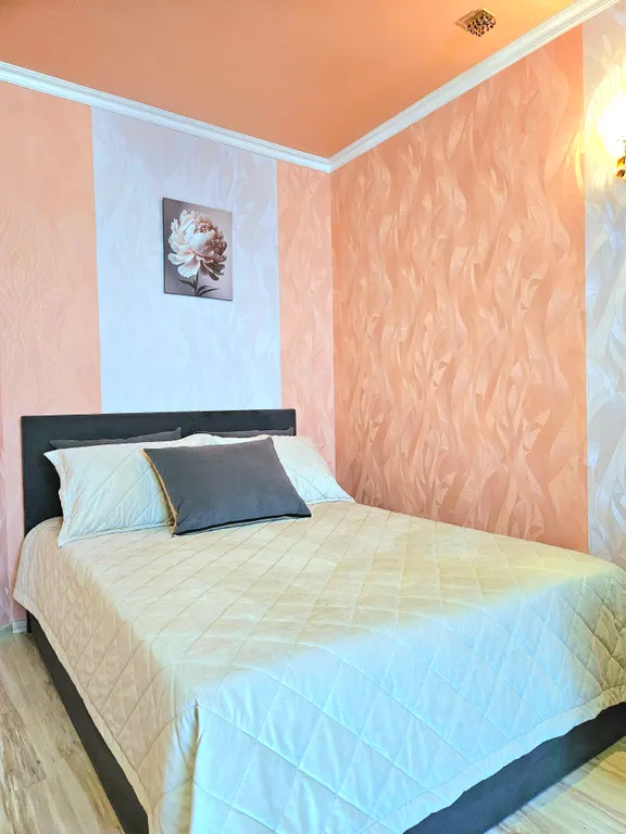 2-комнатная квартира в центре города