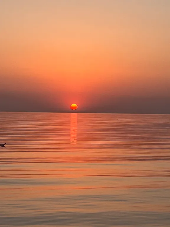 Уютная квартира с видом на море