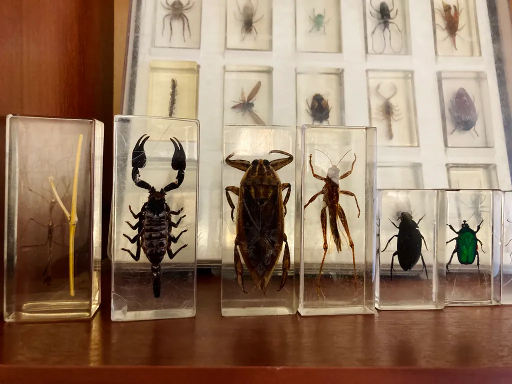 Квартира Семейная квартира на Петроградке — Санкт-Петербург