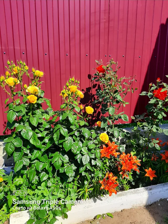 Дом с видом на море