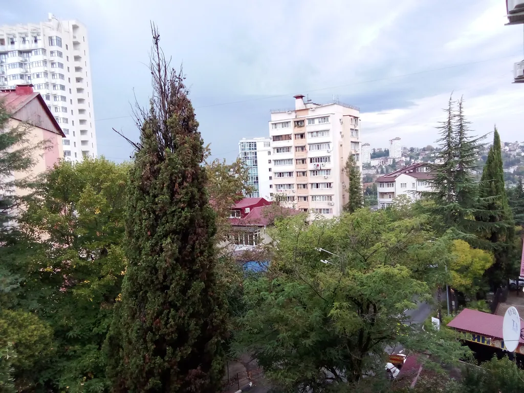 Квартира 1-комнатная Квартира — Сочи