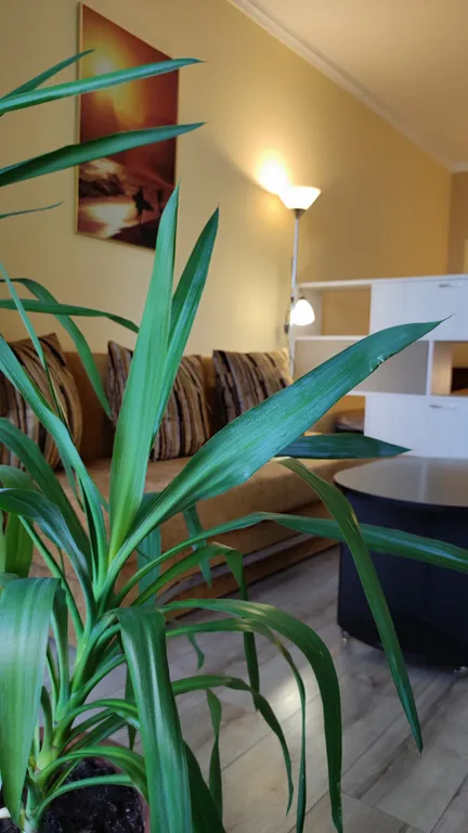 Квартира на побережье