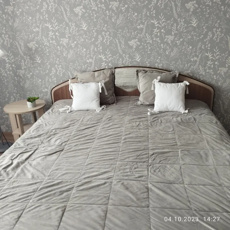 2-комнатная квартира в Кировском округе