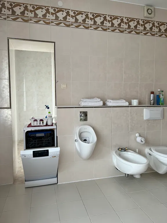 Просторная квартира в особняке гнездо