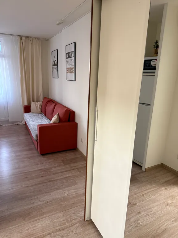 Уютная студия Рощинская 26 с видом на пруд