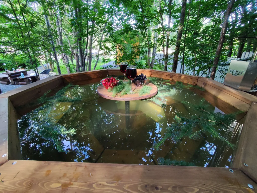 Коттедж Коттедж Shuya Tiny House 2 — Петрозаводск