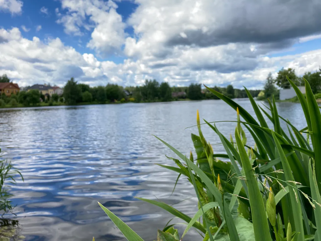 Барнхаус с баней