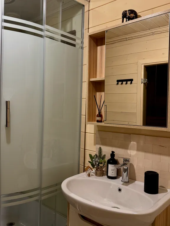 Дом в елях с финской сауной