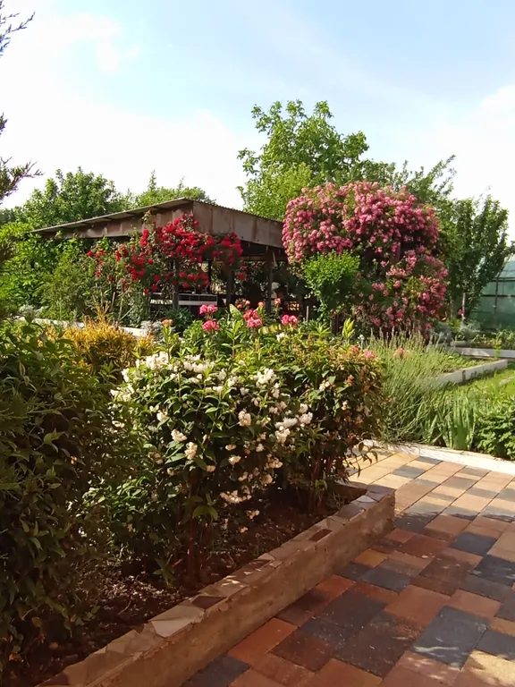 Гостевой домик