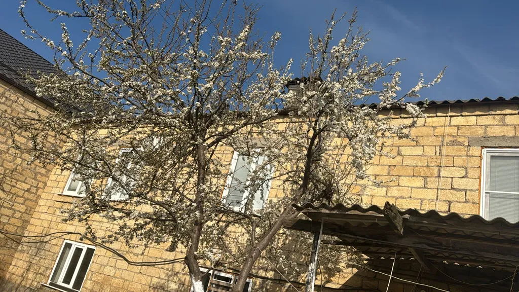 Уютный дом рядом с набережной на большую компанию до 12 человек