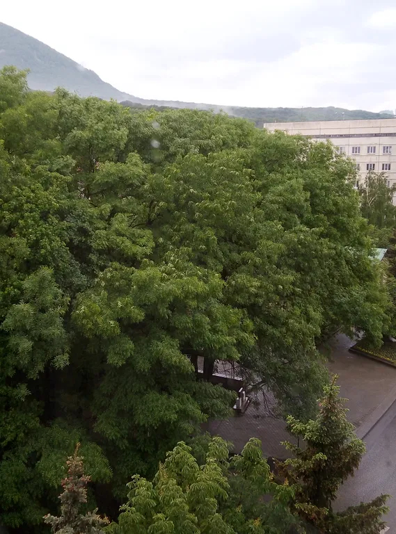 Лучшее место в 5 минутах до источников, парка, озера