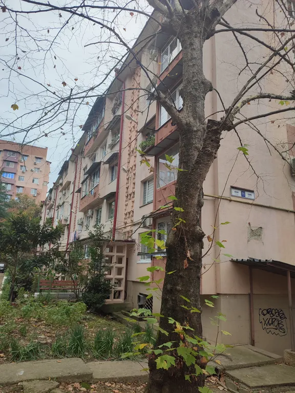 Квартира Уютная квартира в микрорайоне Блиново — Сириус