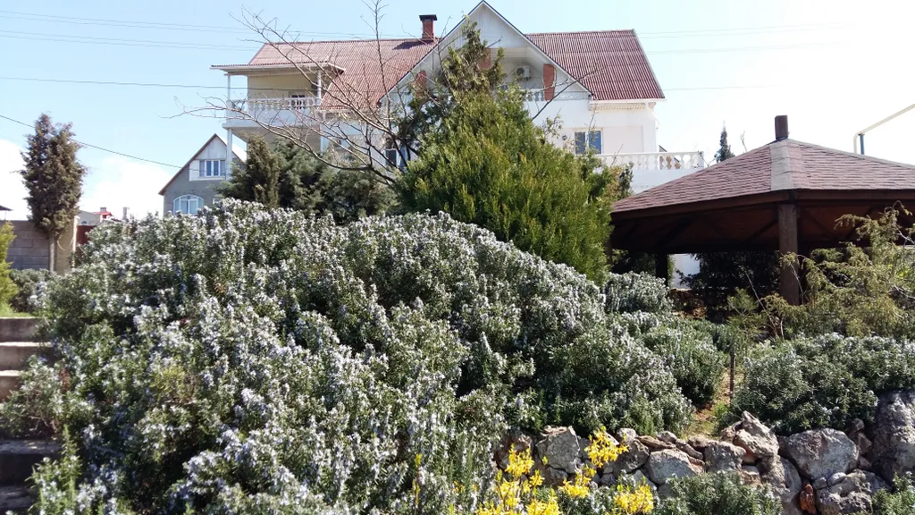 Квартира Уютная квартира у моря — Севастополь