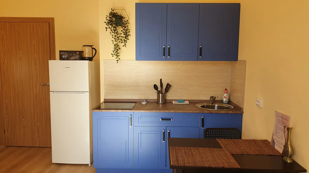 Квартира Квартира Уютная студия рядом с НИИ Петрова — Песочный