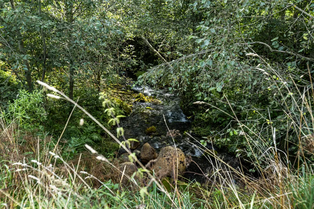 Коттедж на 6 гостей с 2-мя спальнями и кухней-гостиной