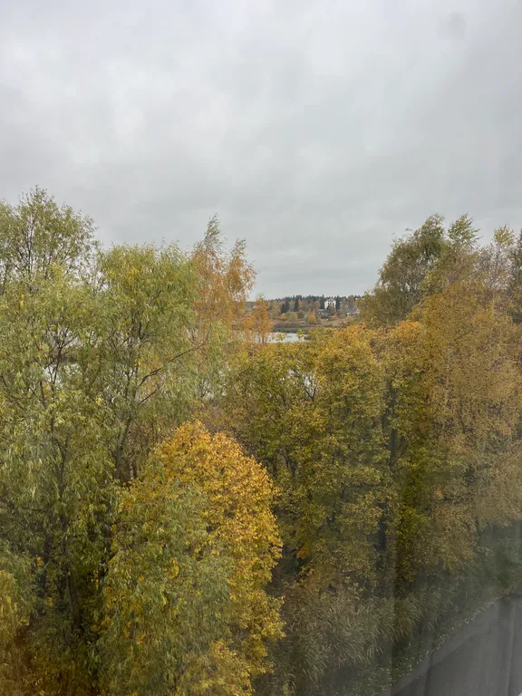 Уютная квартира с видом на проезжающий ретро-поезд