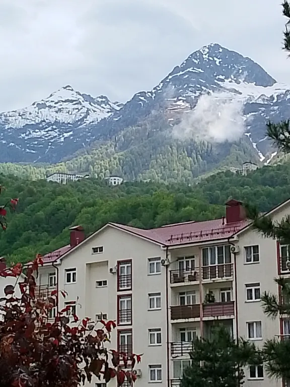 Уютная квартира в центре с видом на горы