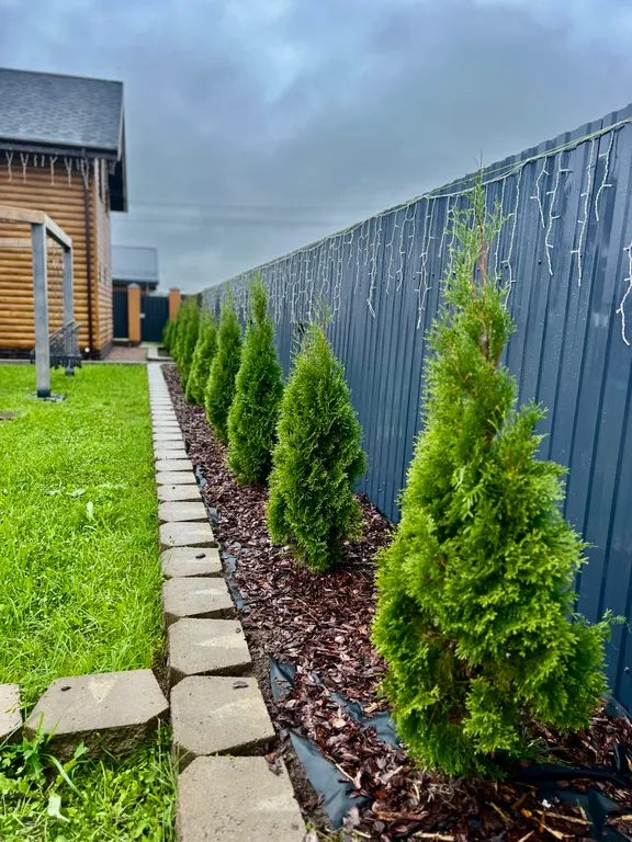 3-комнатный Дом