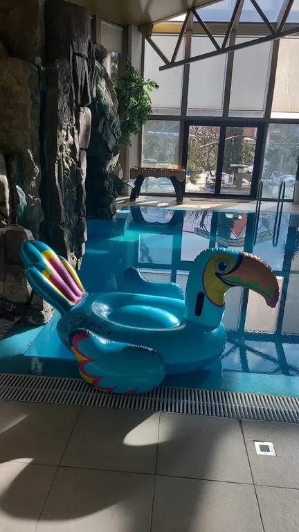 Коттедж Дом "Донна Роза" на Аксайской -знаменитый дом с олимпийским бассейном — аренда посуточно в Краснодар