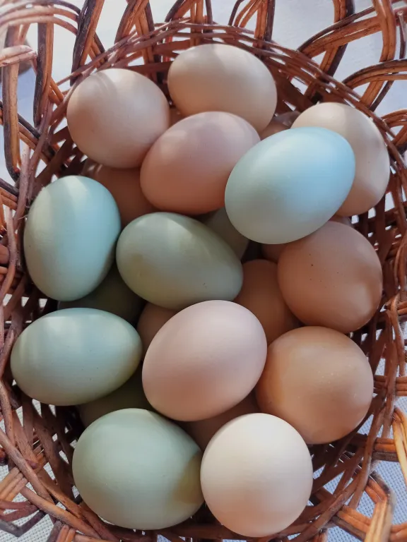 Дом для семейного отдыха