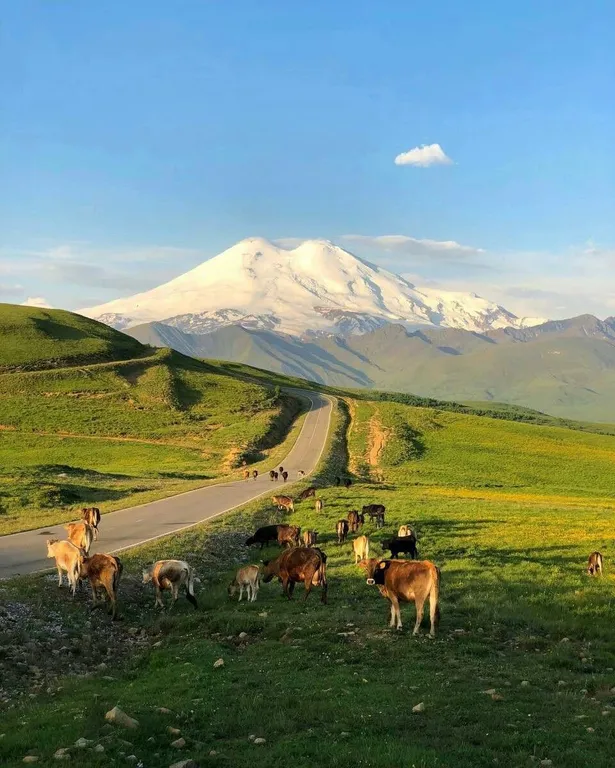 Уютный Barn House у Эльбруса с шикарным видом на Великие Горы Кавказа