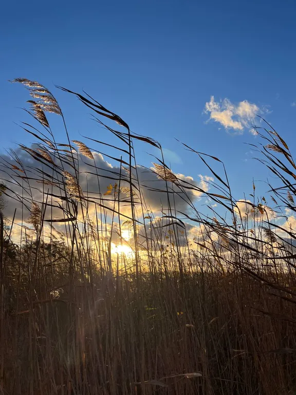 Домик с видом на залив