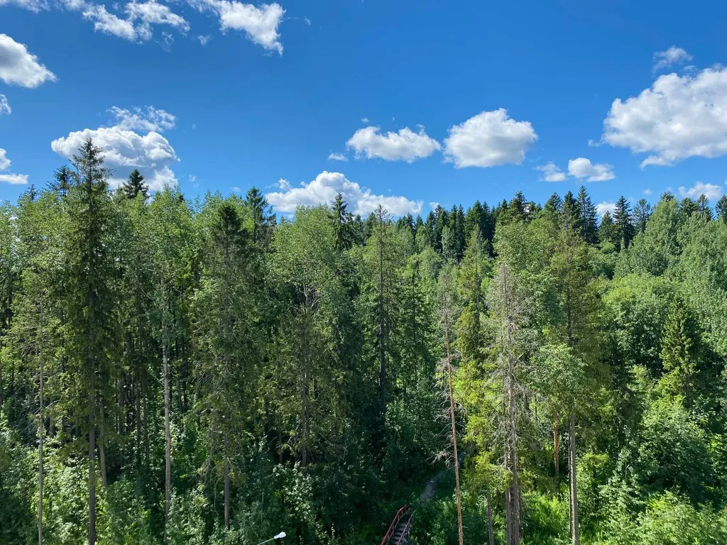 Уютная, чистая квартира в новом доме