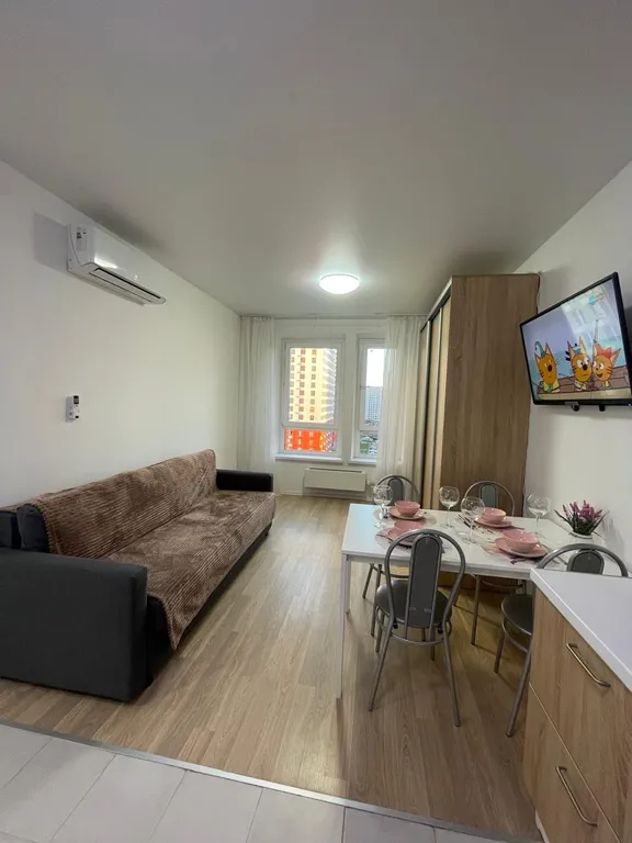 Уютная однокомнатная квартира