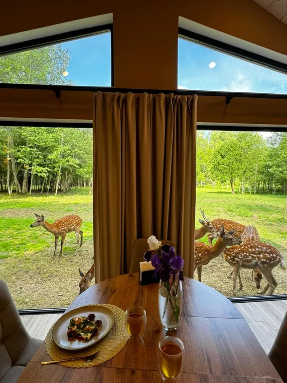 Домик в лесу с пятнистыми оленями и кроликами